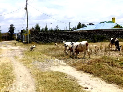 50*100 Plot for Sale in Pipeline 300mts From Tarmac - Image 4
