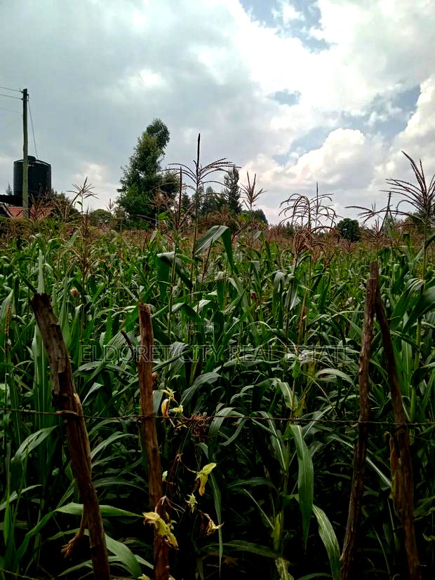 1/4 Plot Blossom Annex Ideal for Residential