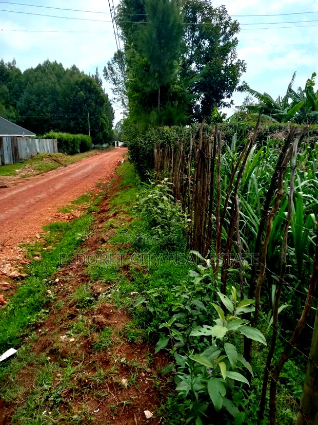 1/4 Plot Blossom Annex Ideal for Residential