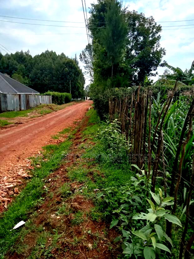 1/4 Plot Blossom Annex Ideal for Residential
