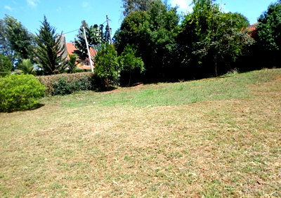 Half Acre Runda Plot at KSh 65M