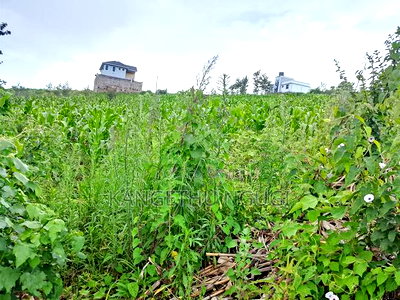 Two 40x80 Adjoining Plots at Anmer Estate - Image 1