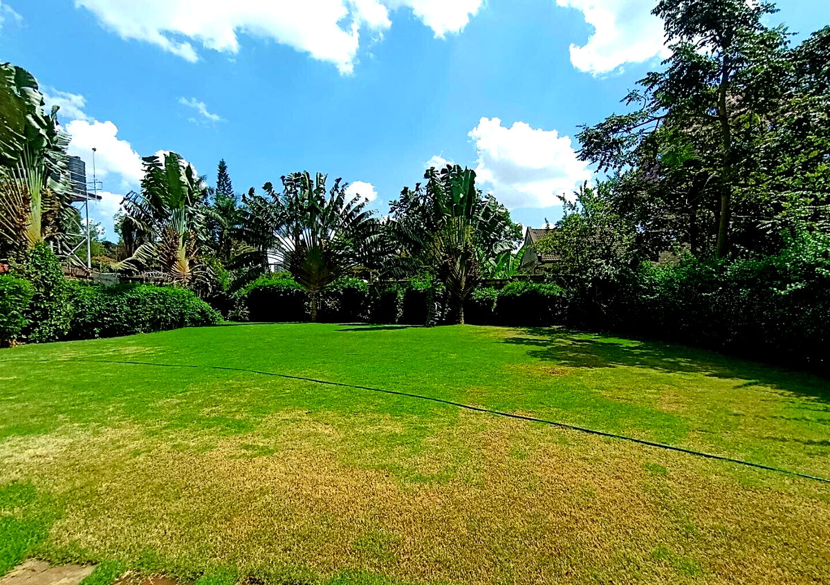 Luxury 4BR Haven with Garden