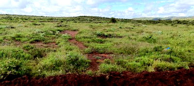 Green Hills Garden Nachu 50x100 Plot for Sale on Offer! - Image 3