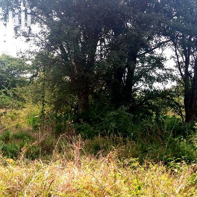 100 Acres Farming Land On Water Table - Image 2