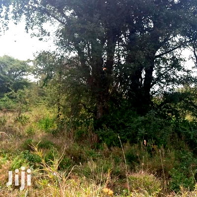 100 Acres Farming Land On Water Table - Image 4