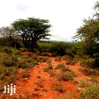 100 Acres Farming Land On Water Table - Image 3