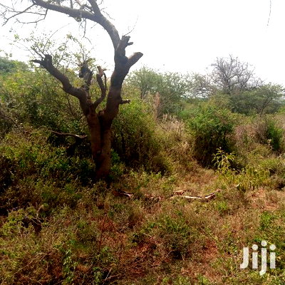 100 Acres Farming Land On Water Table - Image 8