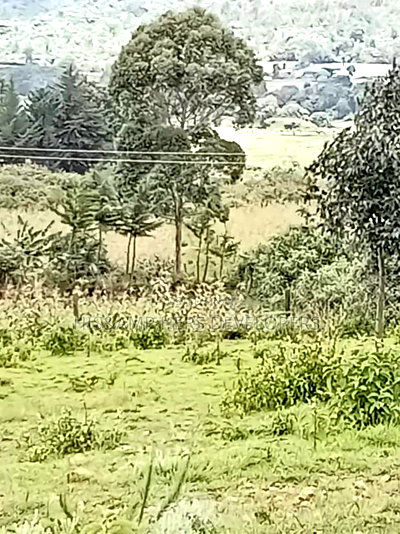 2acre Prime Land in - Mwariki B, Nakuru Town at 24m Per Acre - Image 5