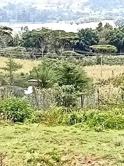 2acre Prime Land in - Mwariki B, Nakuru Town at 24m Per Acre - Image 6