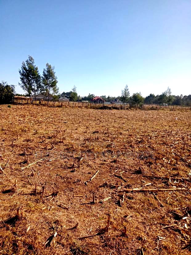 1/8 Plots Ilula Ideal for Residential