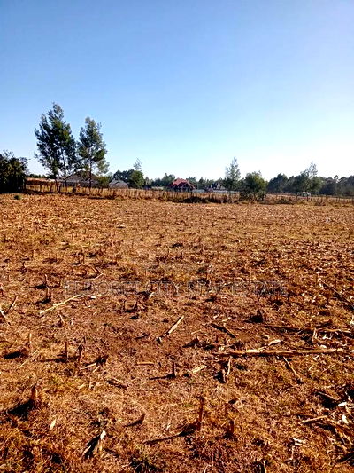 1/8 Plots Ilula Ideal for Residential - Image 2