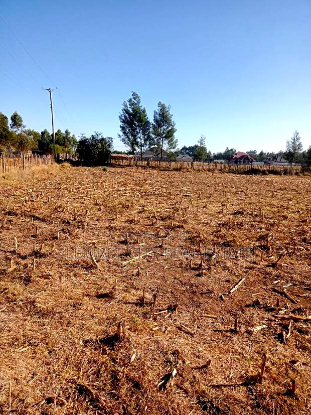 1/8 Plots Ilula Ideal for Residential