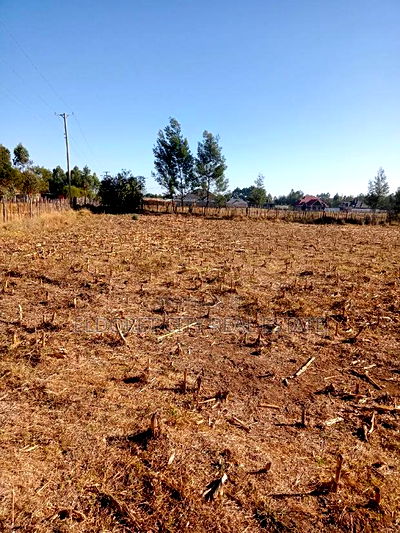 1/8 Plots Ilula Ideal for Residential - Image 1