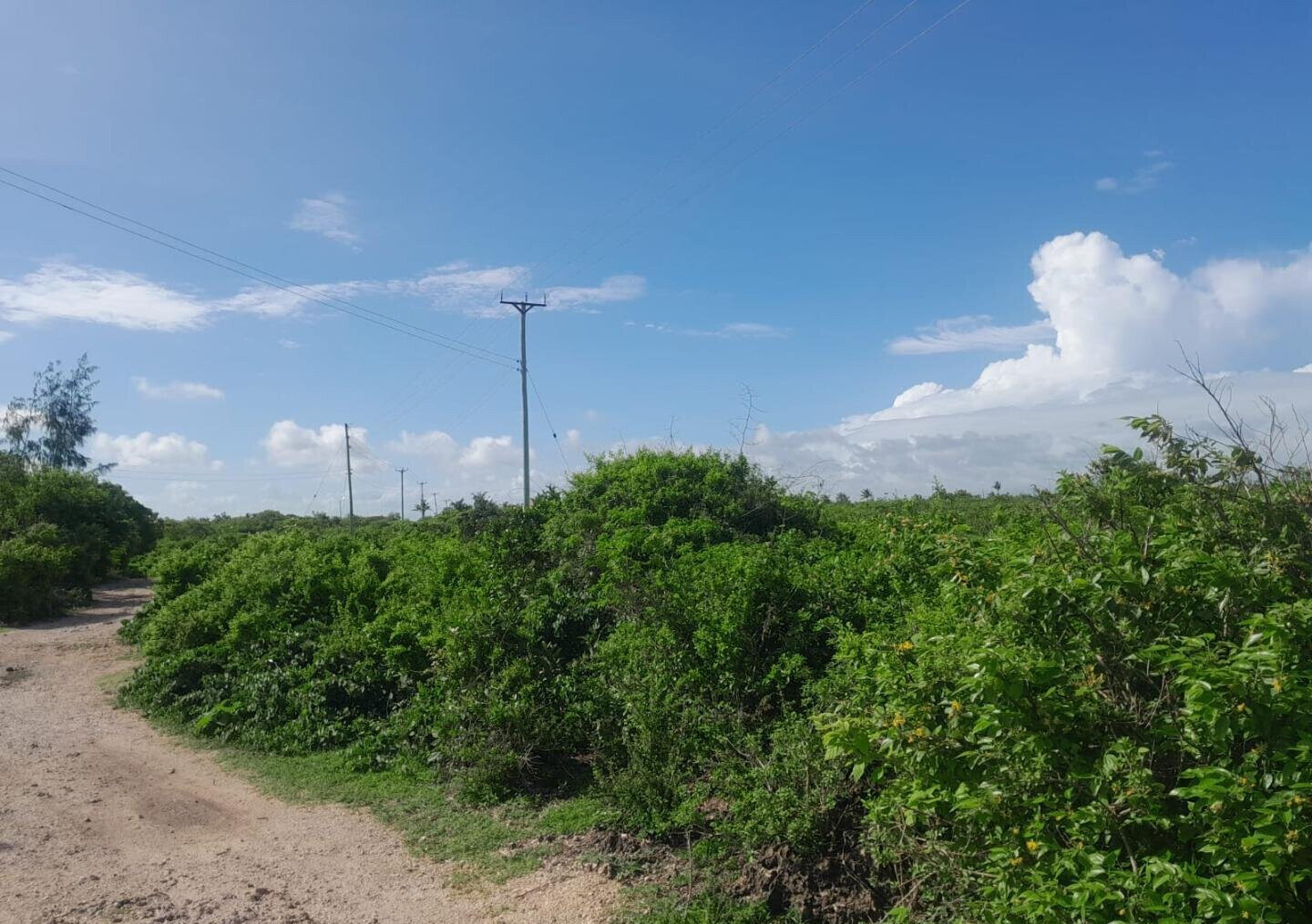 Quarter Acre Watamu Gem