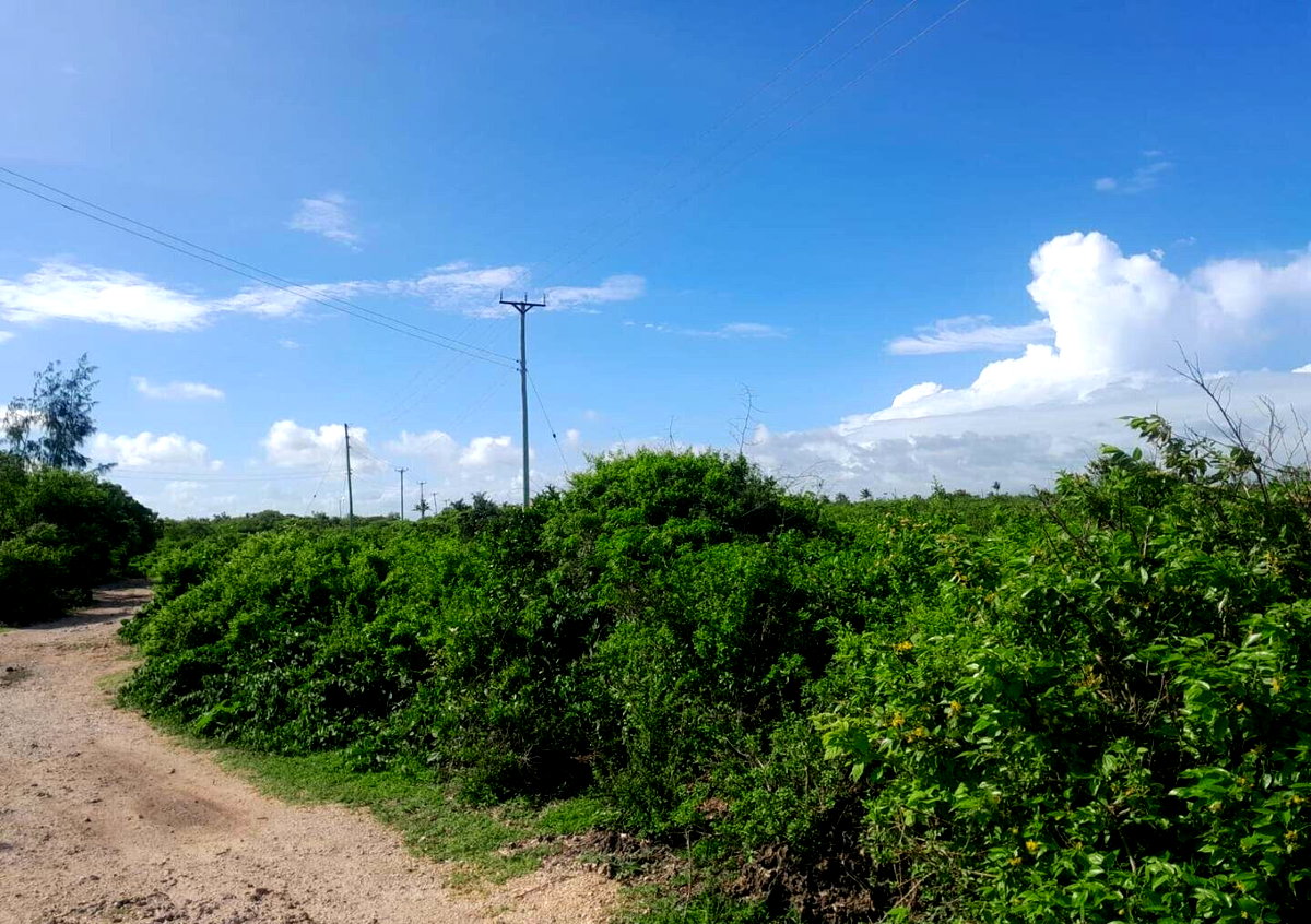 Quarter Acre Watamu Gem