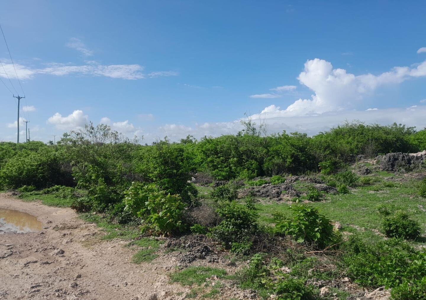 Quarter Acre Watamu Gem