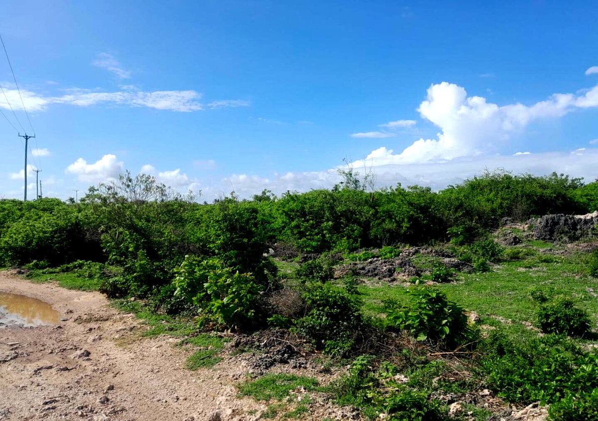 Quarter Acre Watamu Gem