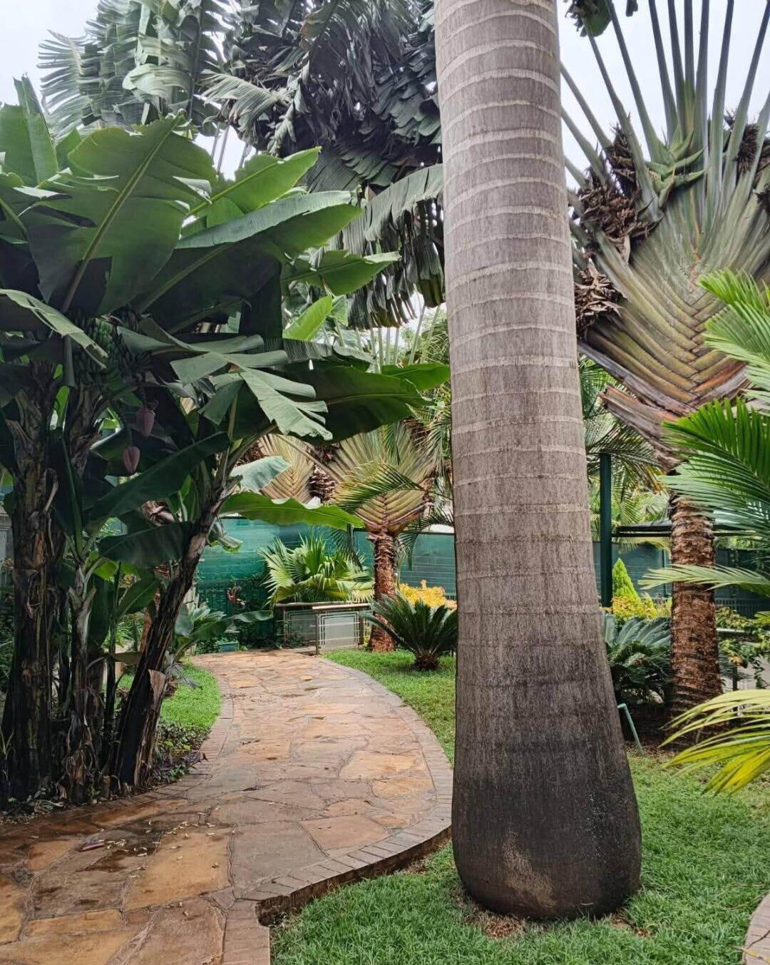 Half Acre Haven with Garden at KSh 620K