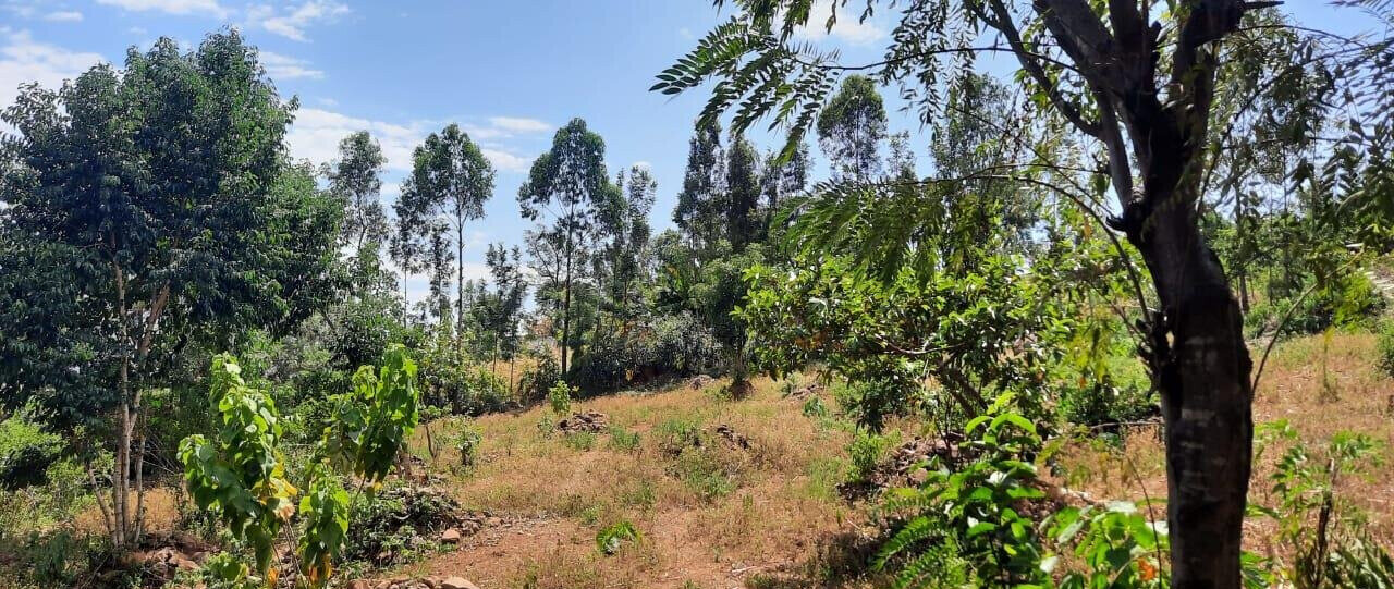 1.1 Acre Plot Behind Royal Swis Hotel