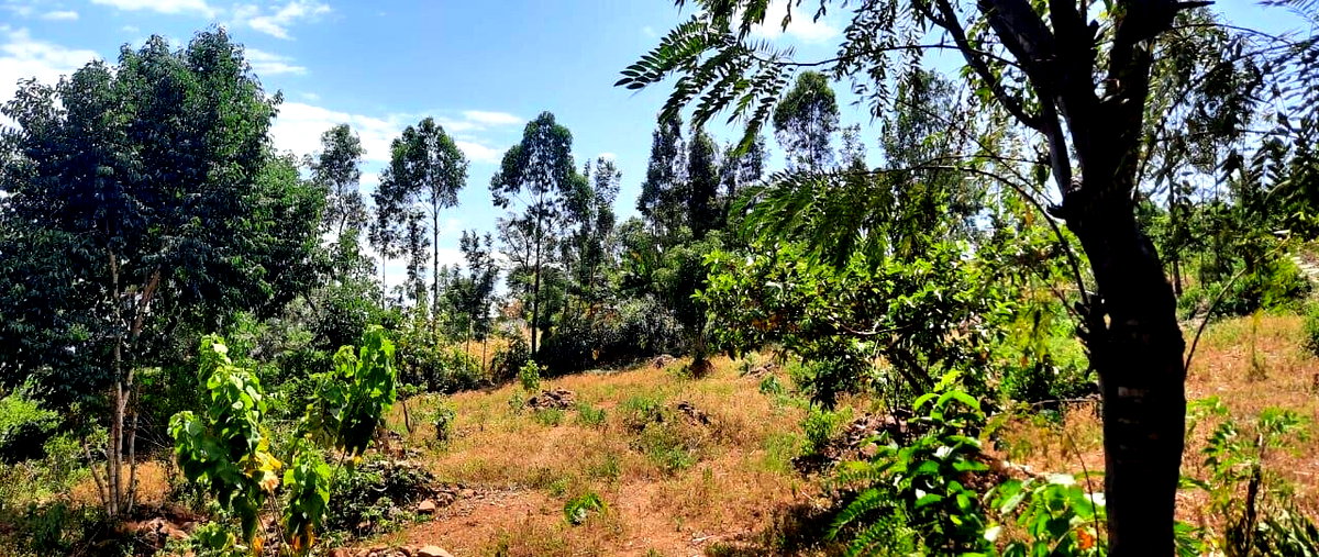 1.1 Acre Plot Behind Royal Swis Hotel