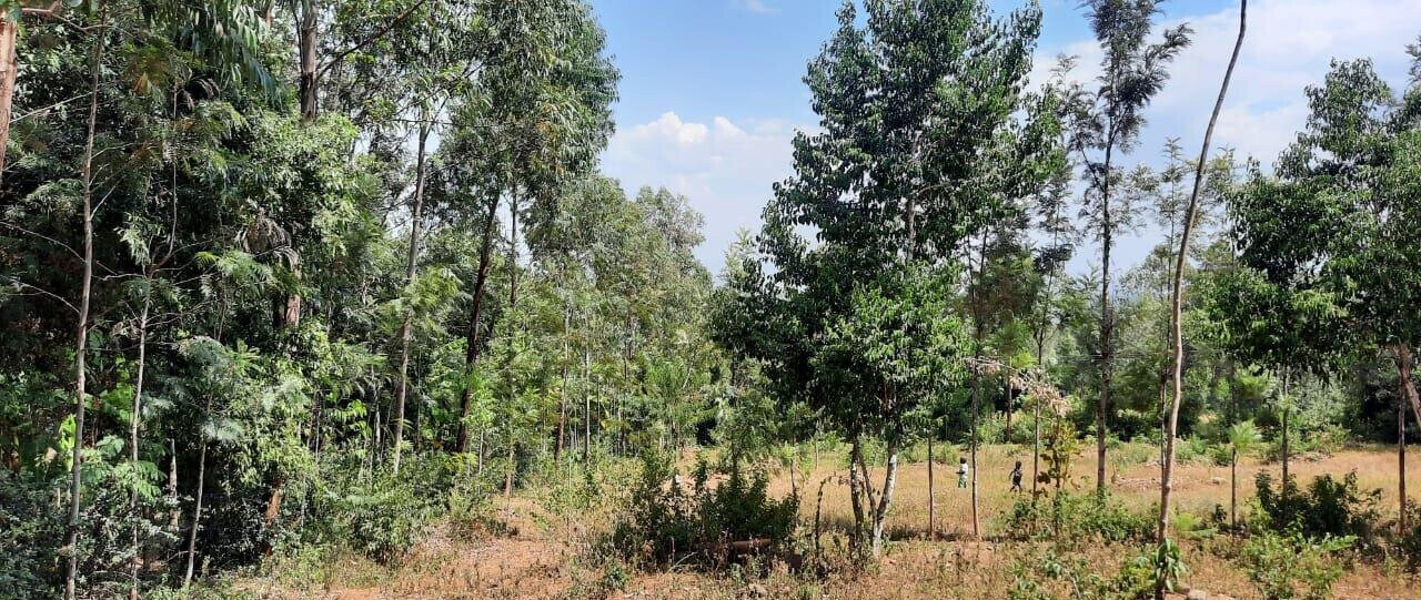 1.1 Acre Plot Behind Royal Swis Hotel