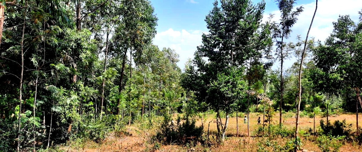 1.1 Acre Plot Behind Royal Swis Hotel