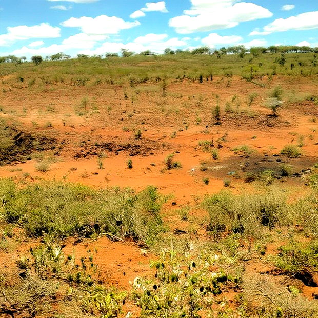 20 Acres for Sale in Mogotio