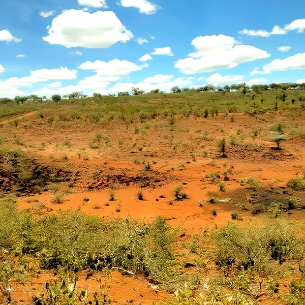 20 Acres for Sale in Mogotio