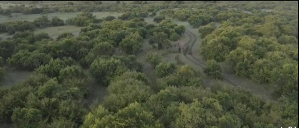 33-Acre Land in Maasai Mara Game Reserve