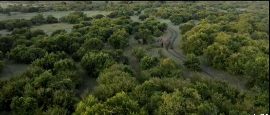 33-Acre Land in Maasai Mara Game Reserve