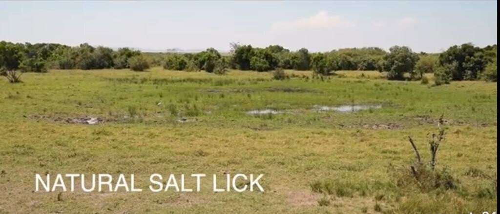 33-Acre Land in Maasai Mara Game Reserve