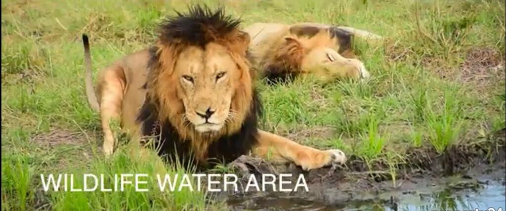 33-Acre Land in Maasai Mara Game Reserve