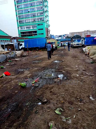 Nairobi Town Prime 1.0445 Acres on Sale - Image 4