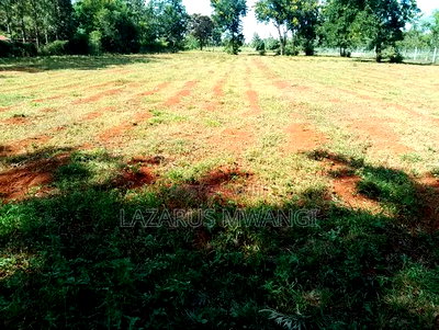 (Quarter Acre Land)For Quick Sale at Makutano Kirwara Mwea - Image 9