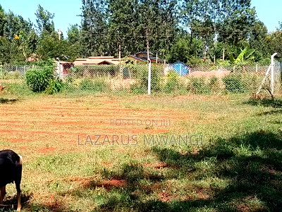 (Quarter Acre Land)For Quick Sale at Makutano Kirwara Mwea - Image 8