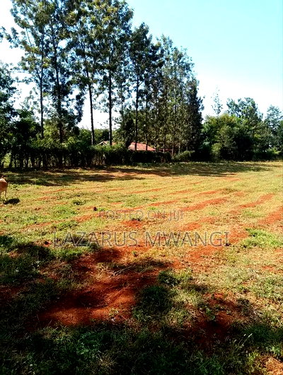 (Quarter Acre Land)For Quick Sale at Makutano Kirwara Mwea - Image 7