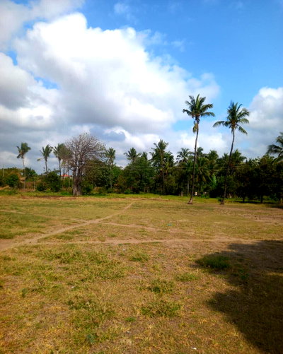 1.8-Acre Plot with Ocean Views