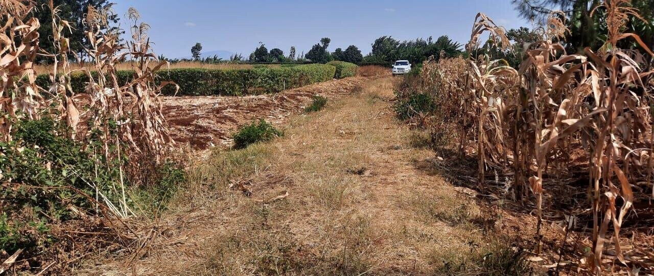 1/8 Acre Plot for KSh 2.8M