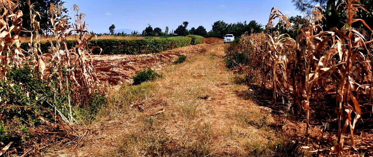 1/8 Acre Plot for KSh 2.8M