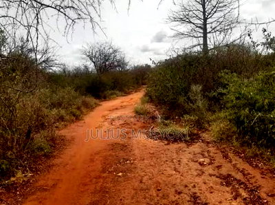 1000 Acres Mtito Andei Makueni - Image 2