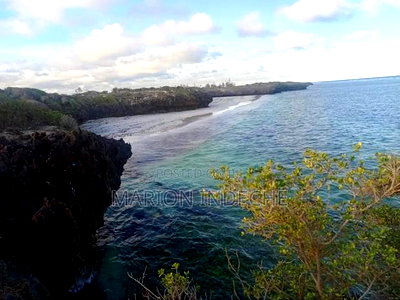 First Row Beach Plots for Sale in Kilifi Chumani - Image 3