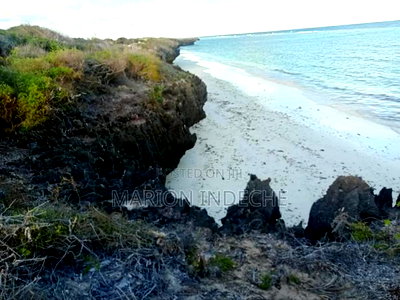 First Row Beach Plots for Sale in Kilifi Chumani - Image 2
