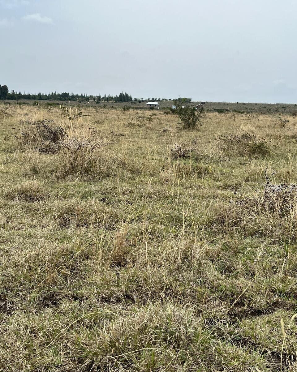 Half Acre Plot Under 0.5M