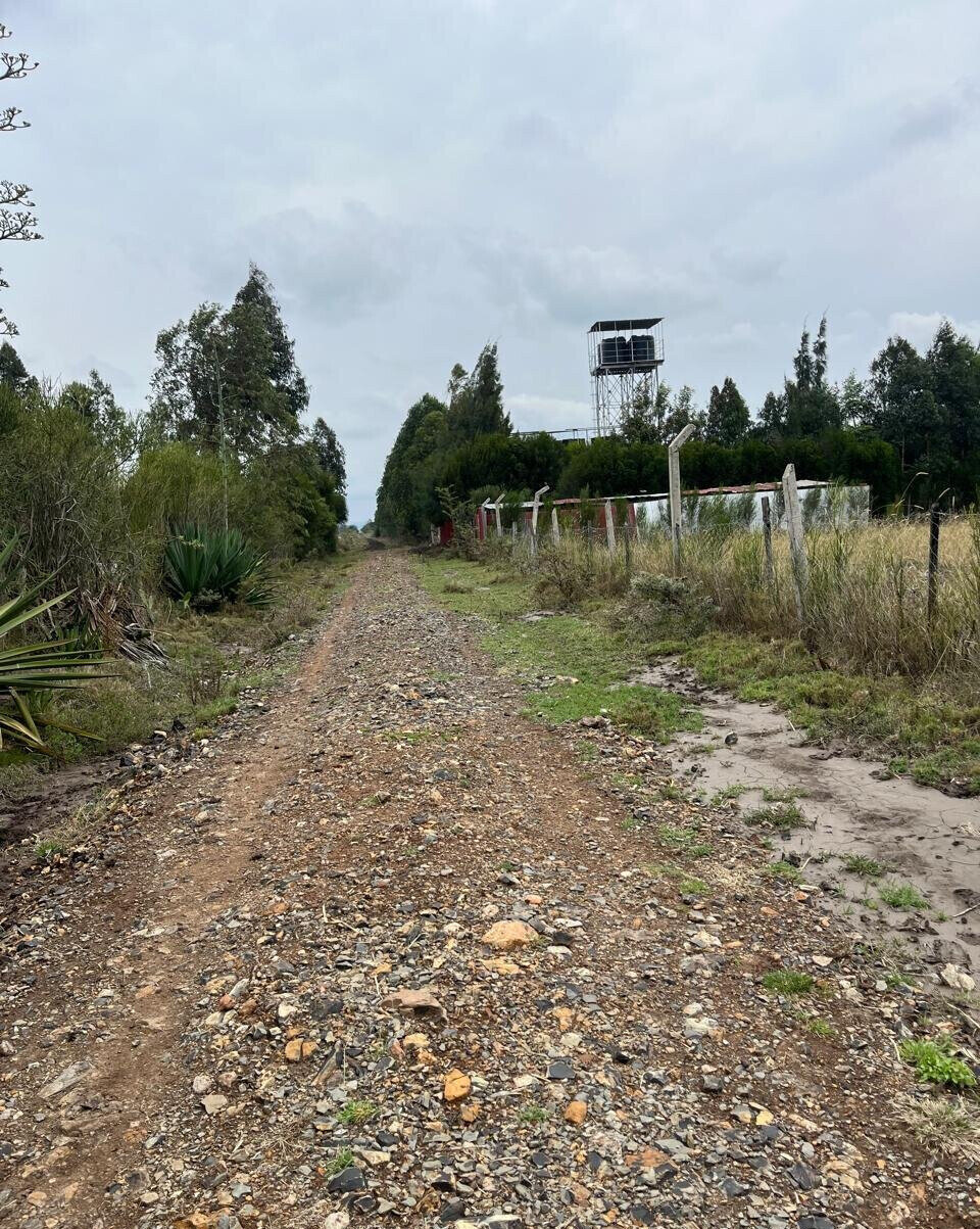 Half Acre Plot Under 0.5M
