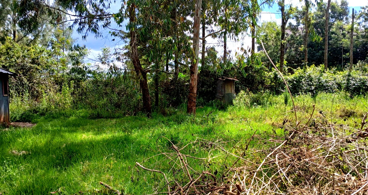 50x100 Plot in Karen at KSh 6.5M
