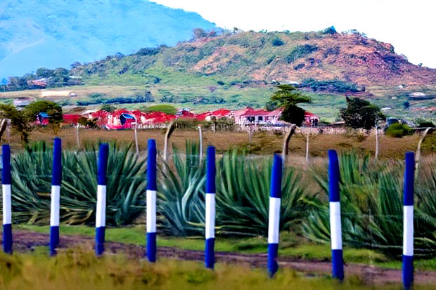 Land for Sale Koma