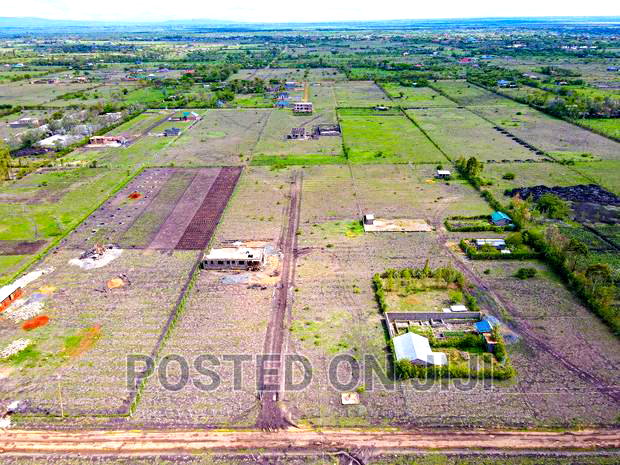 Residential Plots in Jujafarm 50*100