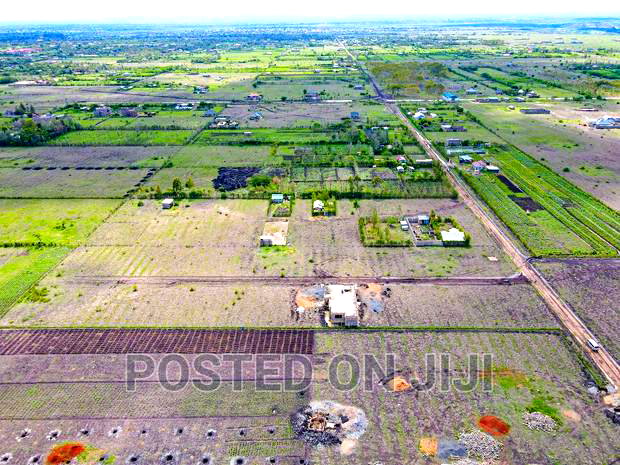 Residential Plots in Jujafarm 50*100