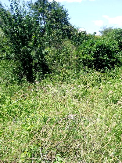 31acres for Sale - Image 4